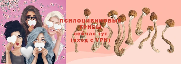 прущие крисы Заводоуковск