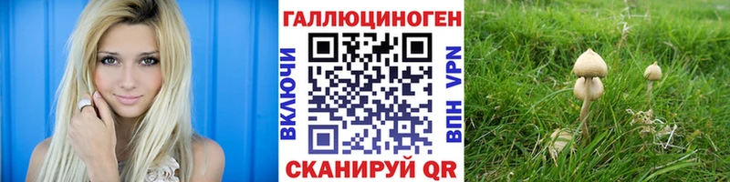 Псилоцибиновые грибы мицелий Купить Кириллов