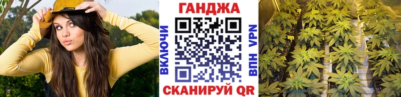 Купить закладки  Кириллов  Бошки Шишки индика 
